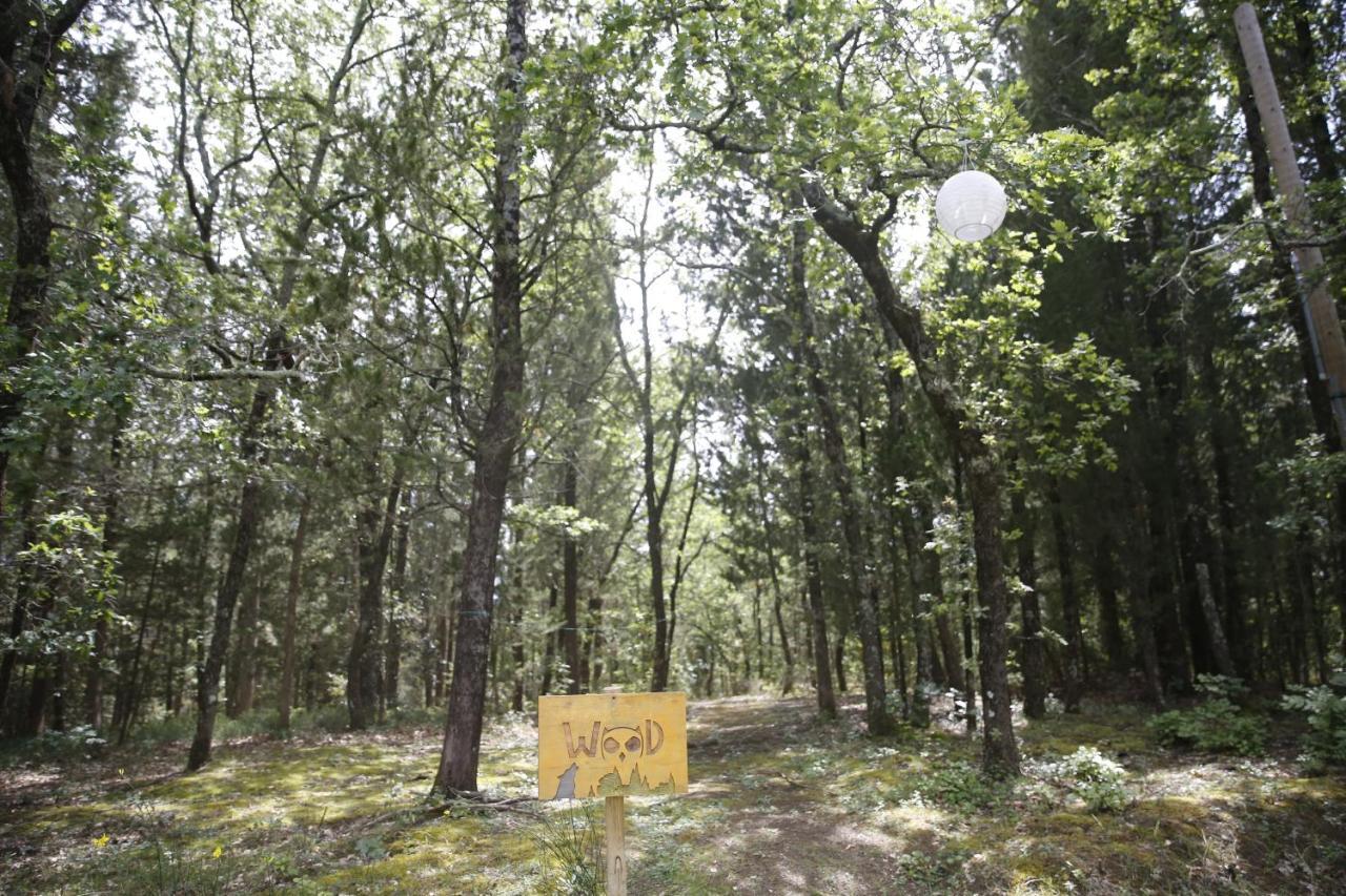 Villa Albertina Montespertoli Bagian luar foto
