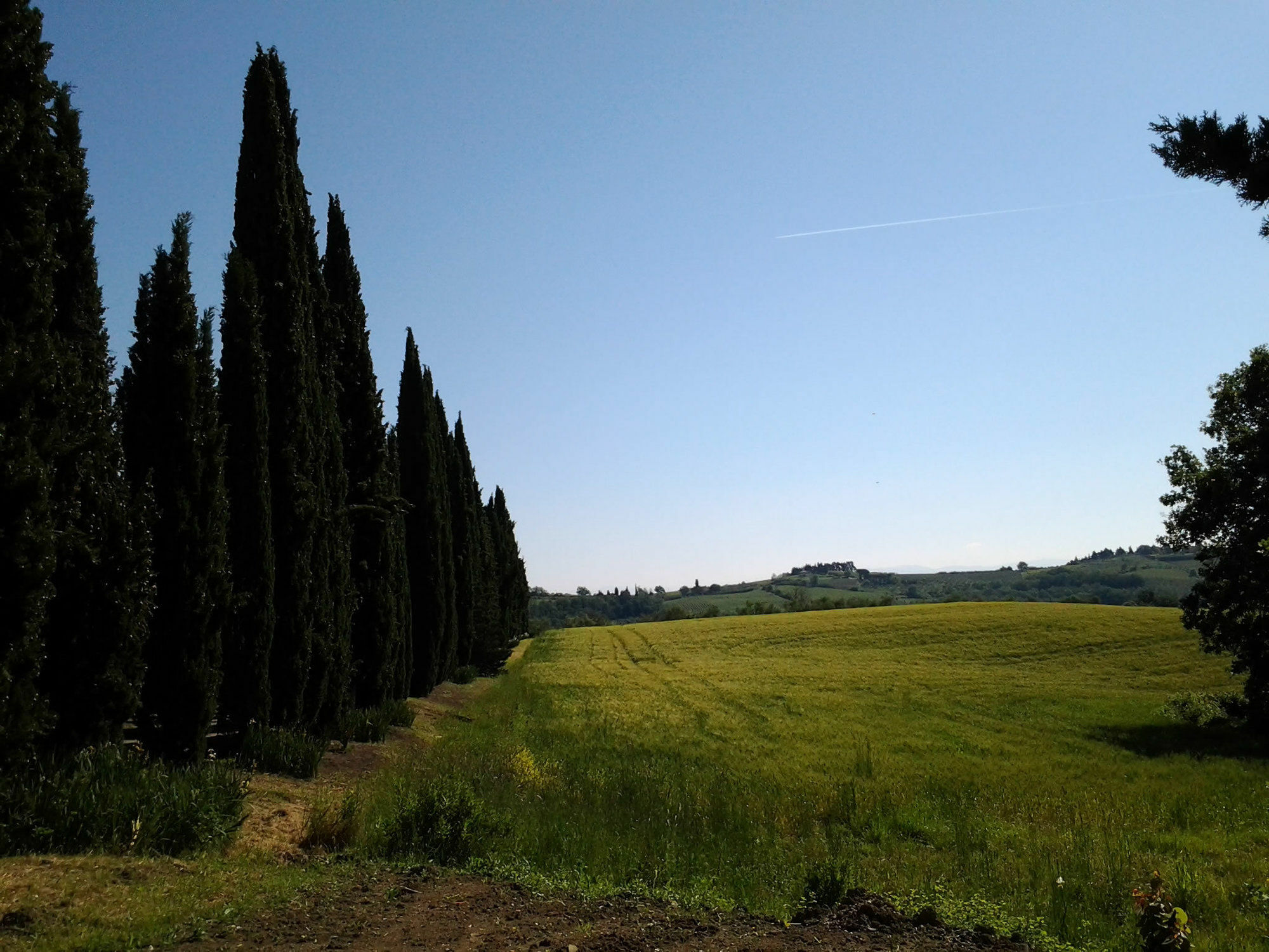 Villa Albertina Montespertoli Bagian luar foto